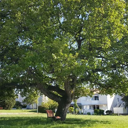公寓 Matilda 波雷奇
