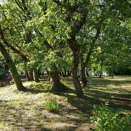 Matilda * Πόρετς